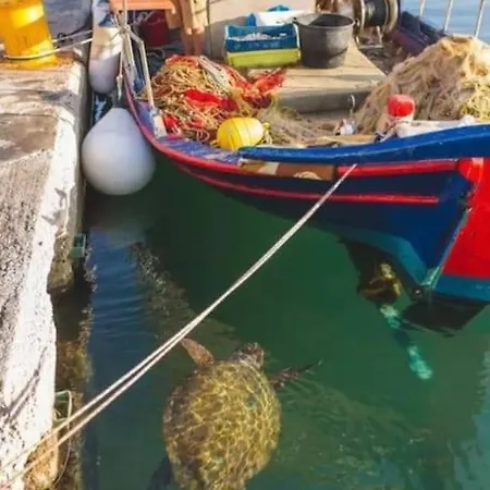 Turtle Bay Appartamento Argostoli (Kefalonia)